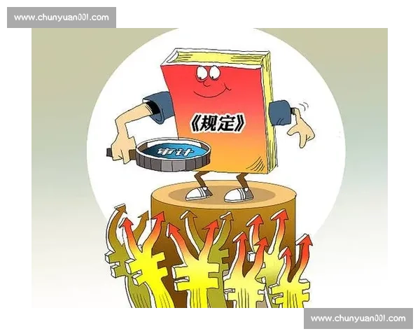 以审计监督为核心推动治理体系和治理能力现代化的实践路径研究