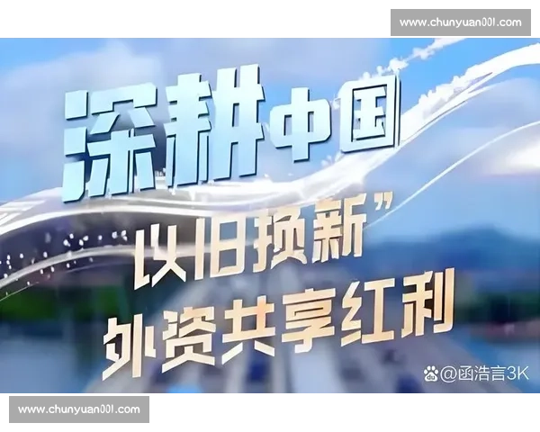 权威解读中国经济发展新趋势与全球化背景下的未来挑战