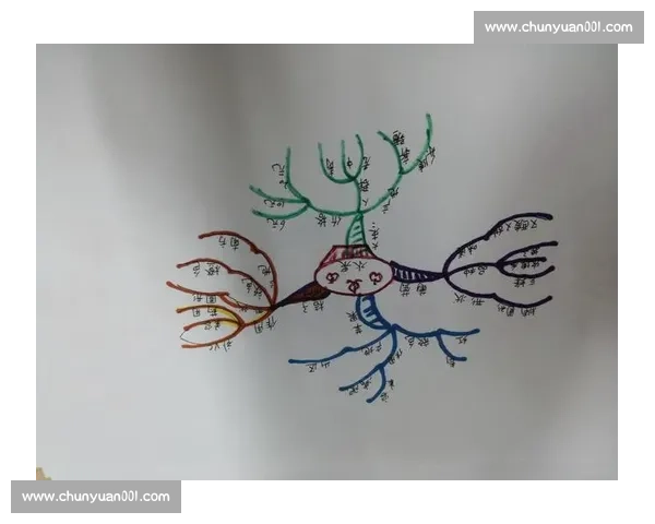 现代足球战术演变与攻防体系深度解析策略趋势观察及实战应用探讨